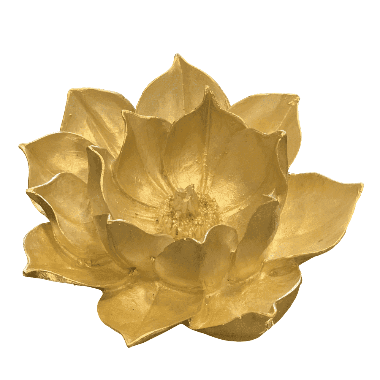 DO727-04 KÜÇÜK LOTUS ÇİÇEĞİ