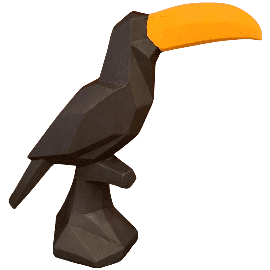 HF176-01 KÜBİK PAPAĞAN (TUCAN)