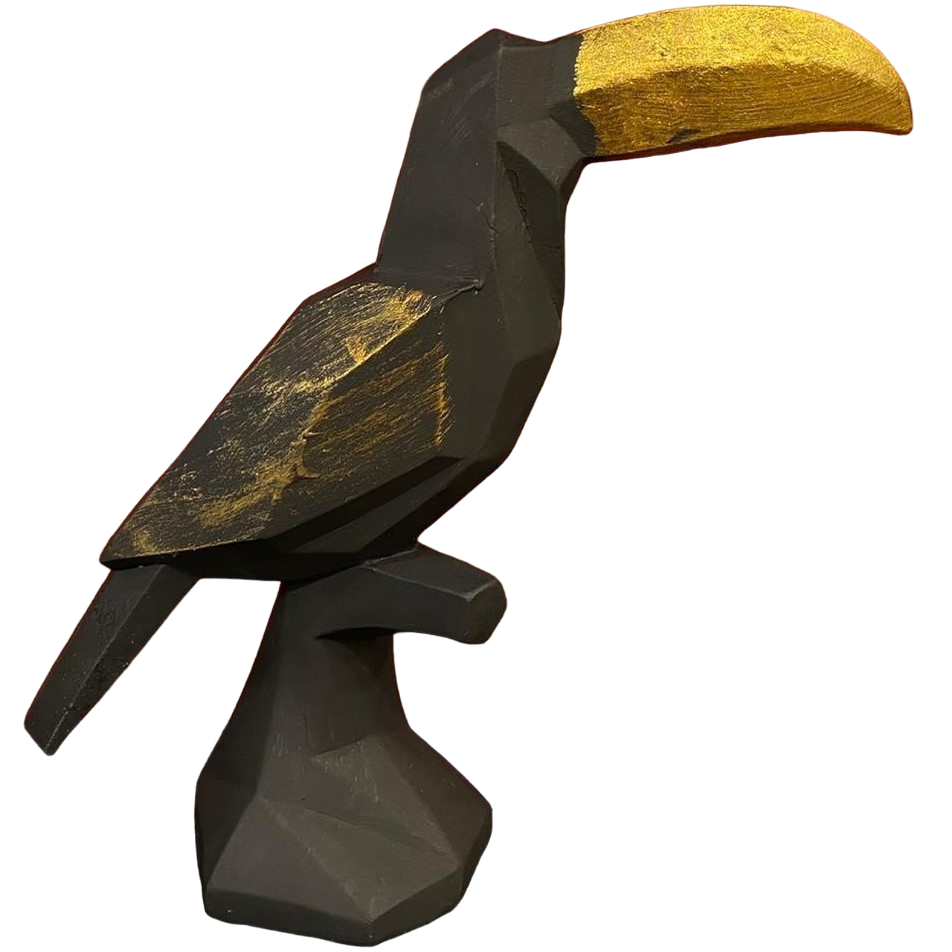 HF176-03 KÜBİK PAPAĞAN (TUCAN)
