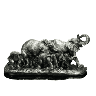 HF397-01 FİL AİLESİ