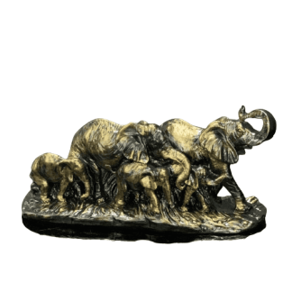 HF397-02 FİL AİLESİ