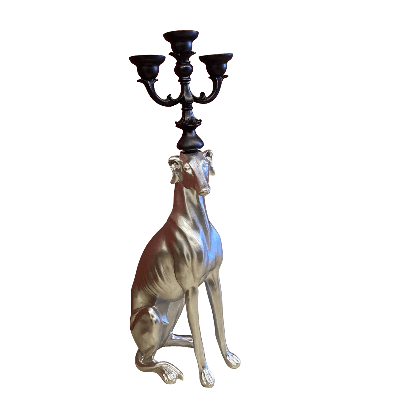 SM187-02 KÖPEK ŞAMDAN