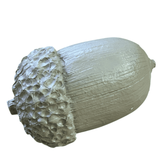 DO693-10 MEŞE PALAMUDU