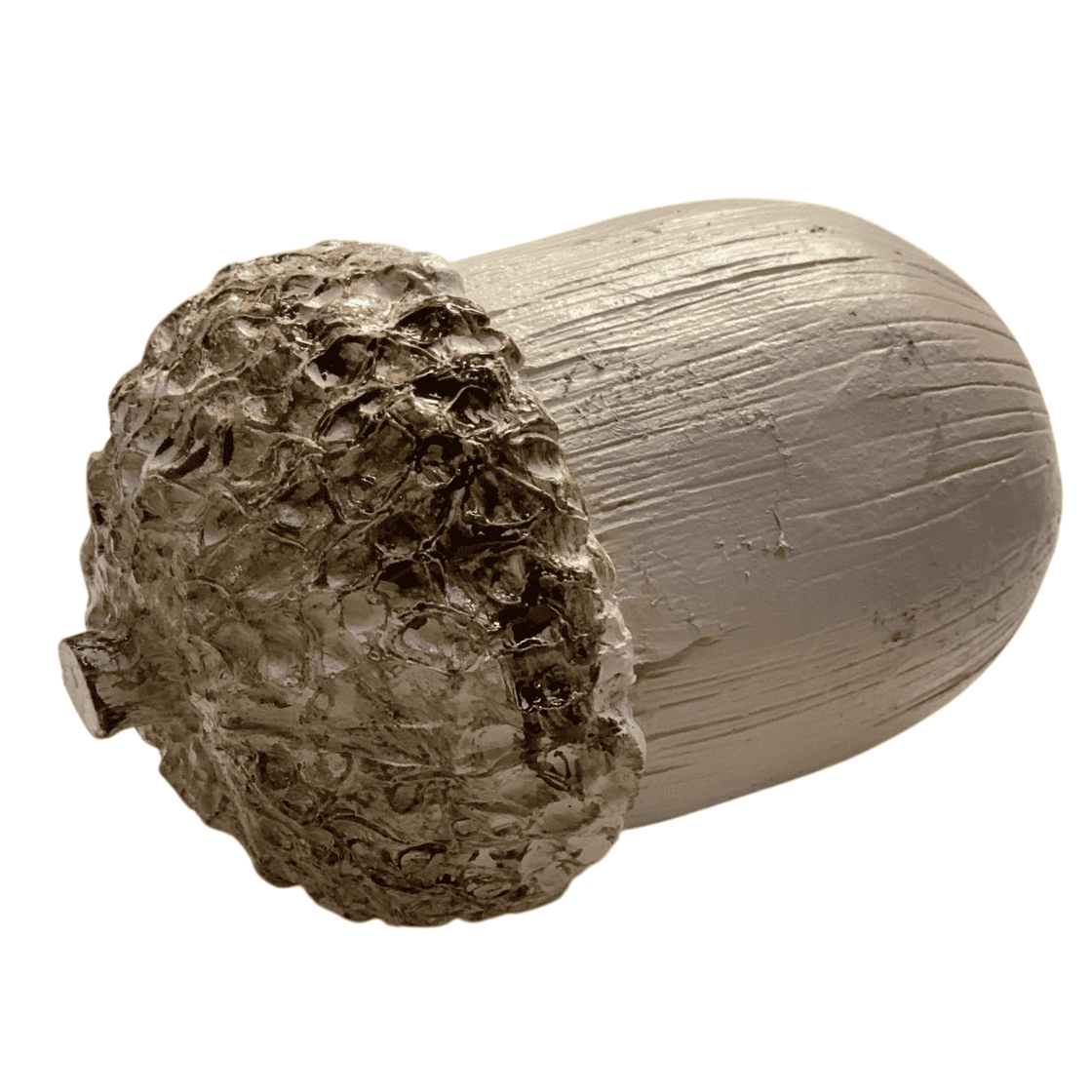 DO693-14 MEŞE PALAMUDU